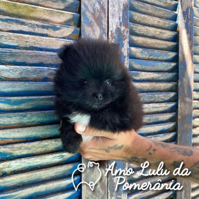 Karine Rosa Bgeginski