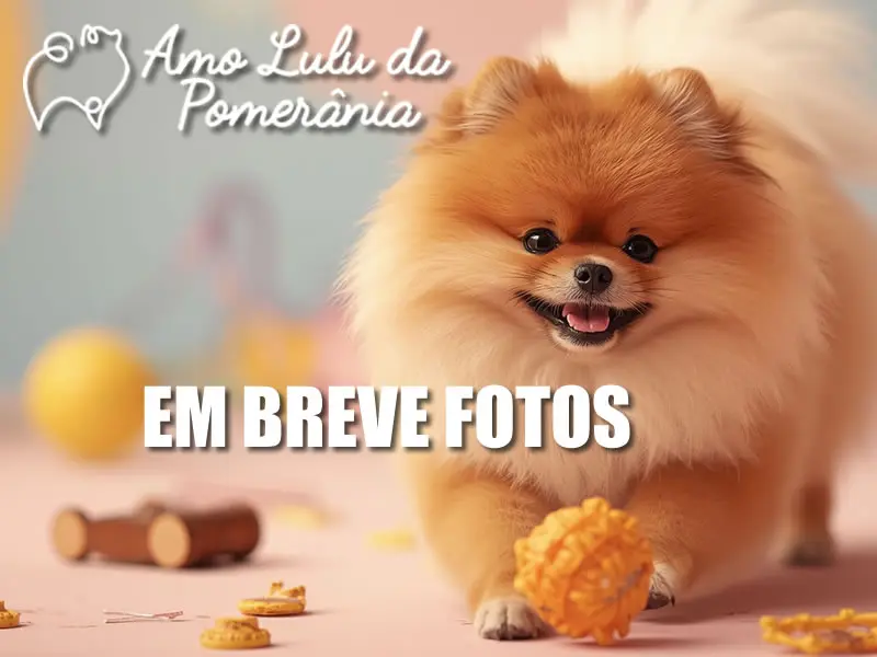 BANHO A SECO 500ML - PETSHOW 