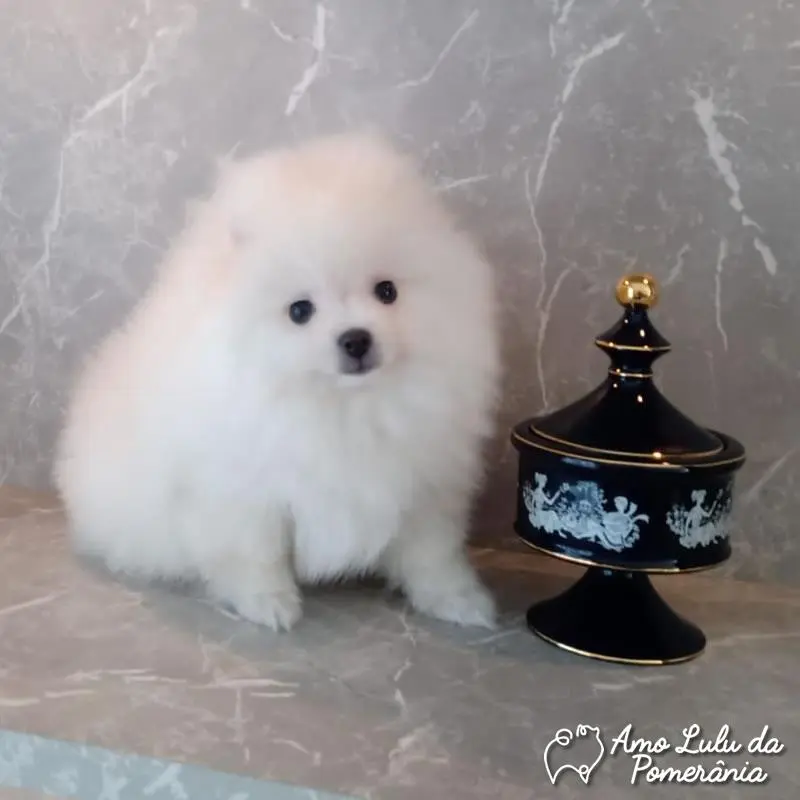 Ana Luiza Mattos da Silva