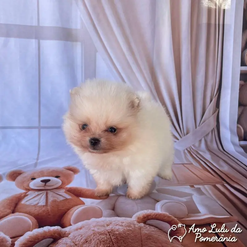Fêmea Branca