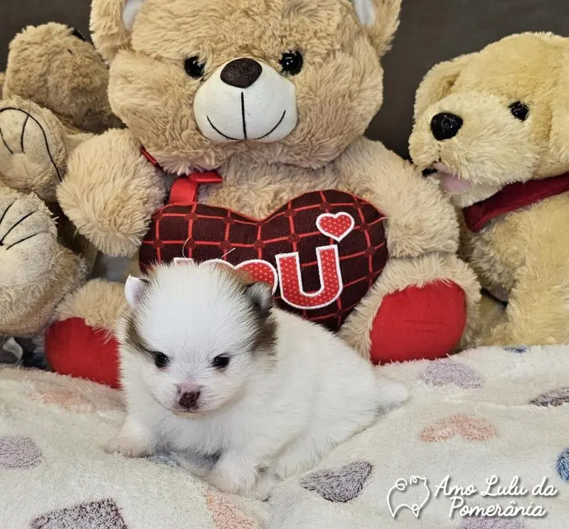 Ana Paula Fagundes Eberhardt