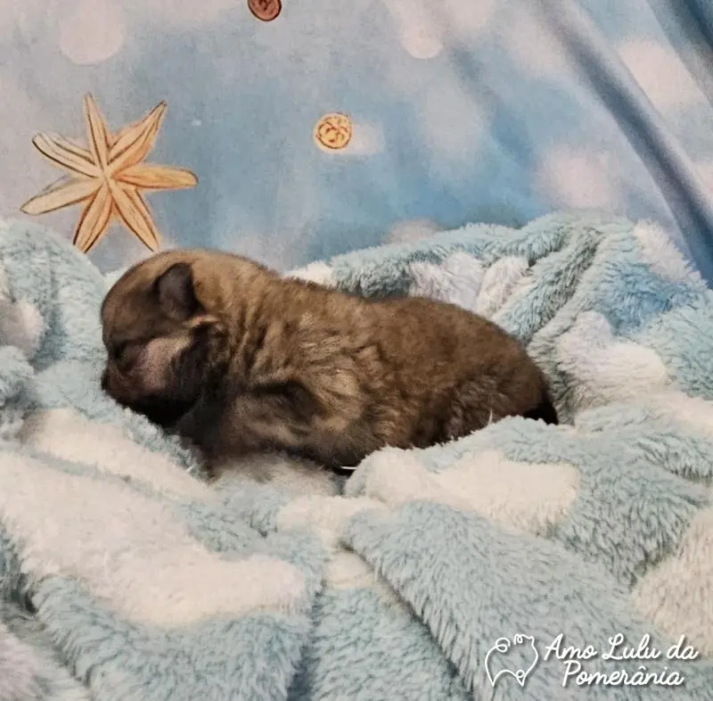 Tatiana Della Giustina