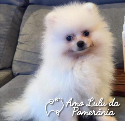 Jefferson Rocha Do Nascimento 