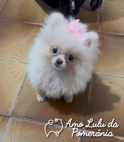 Franciele Machado da Silva 