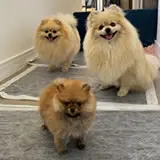 Alan Francisco Santos de Souza